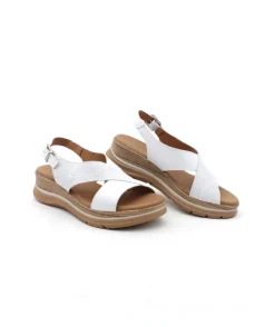 Paula Urban 24-578 Bangla