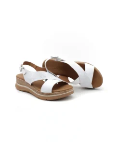 Paula Urban 24-578 Bangla