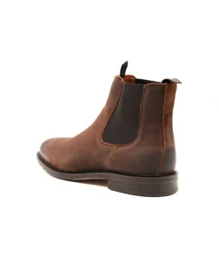 Schmoove Pilot Chelsea Oil