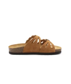Scholl Jeanne