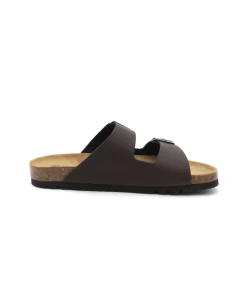 Scholl Julien