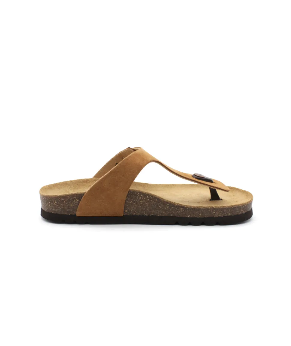 Scholl Nicole