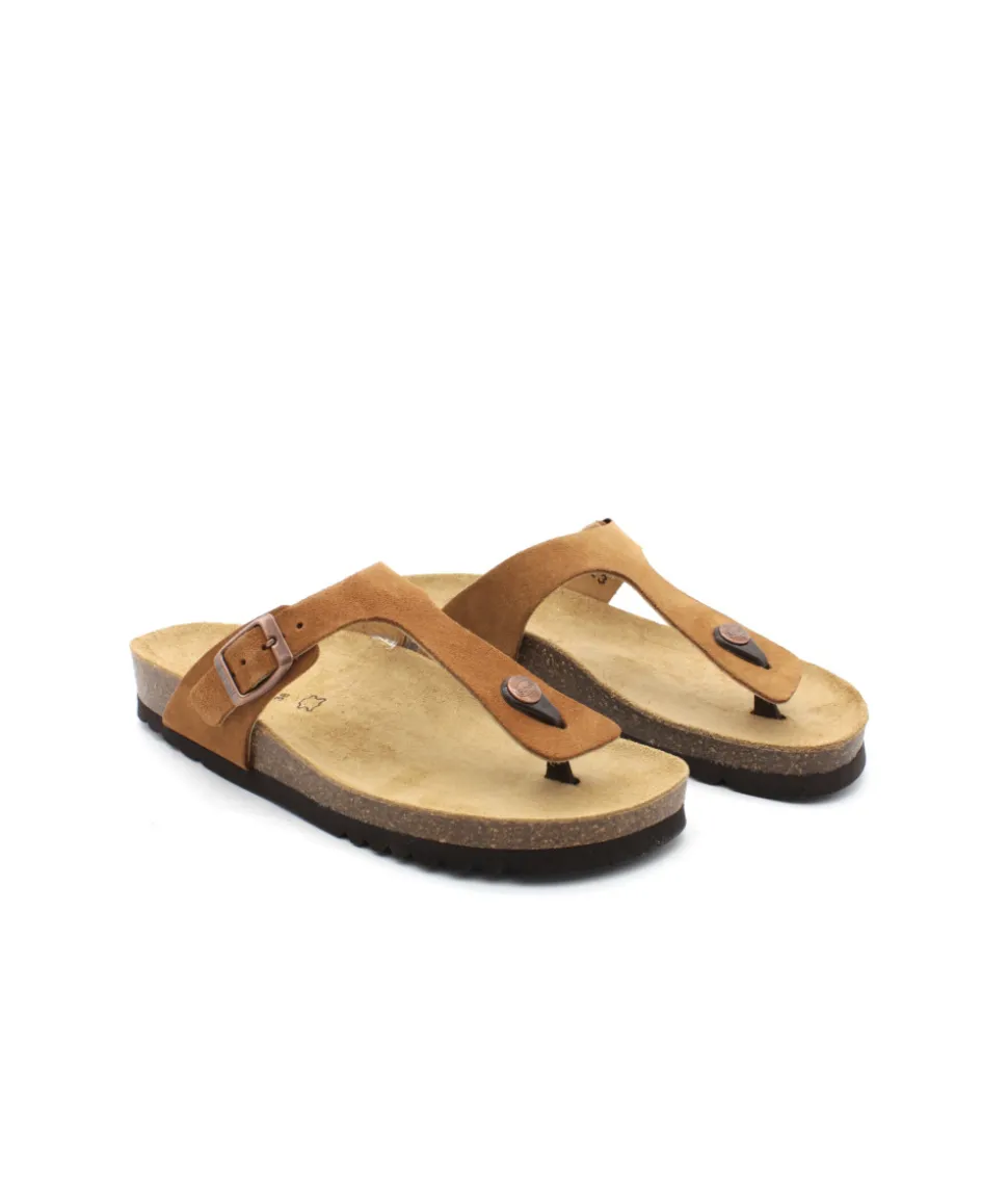 Scholl Nicole