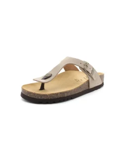 Scholl Nicole