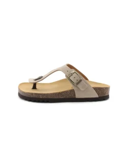 Scholl Nicole