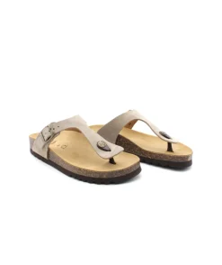 Scholl Nicole