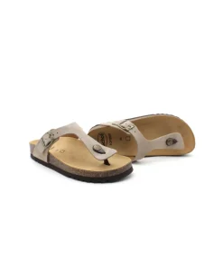Scholl Nicole