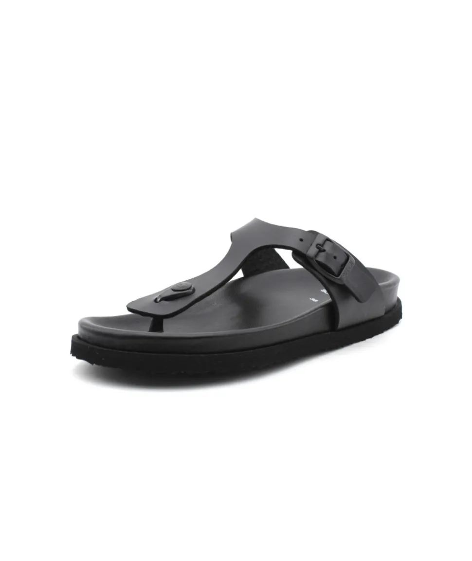 Scholl Nicole Over