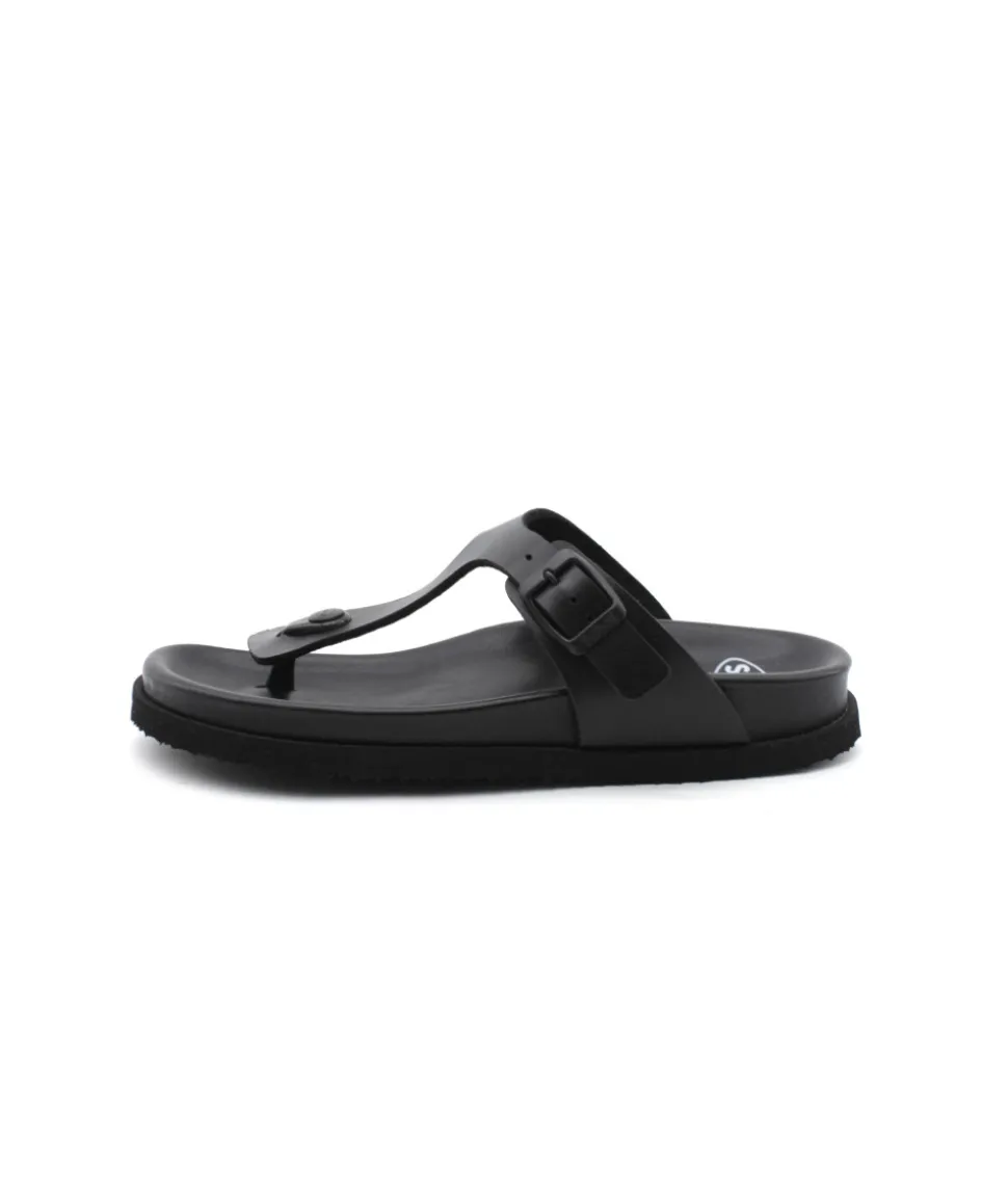 Scholl Nicole Over