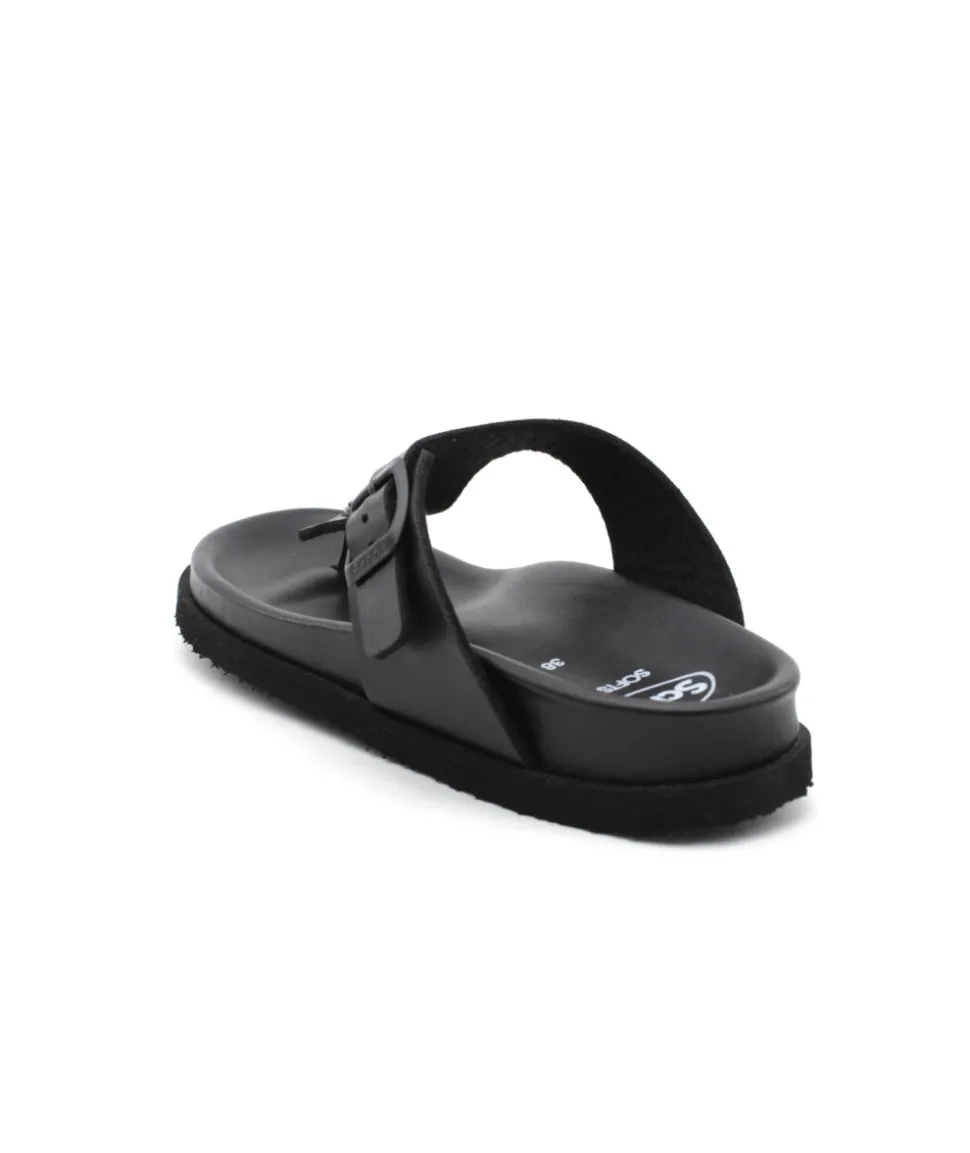Scholl Nicole Over