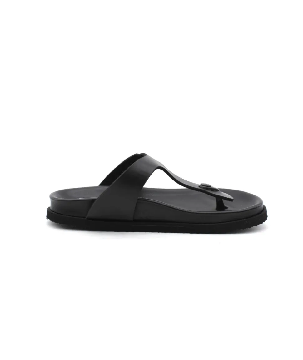 Scholl Nicole Over