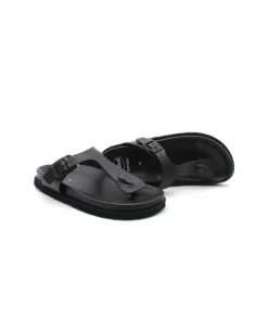 Scholl Nicole Over