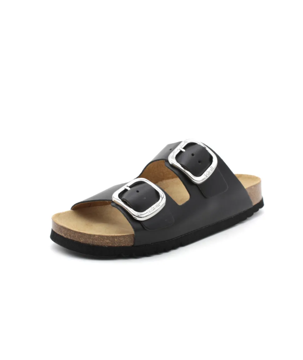 Scholl Noelle