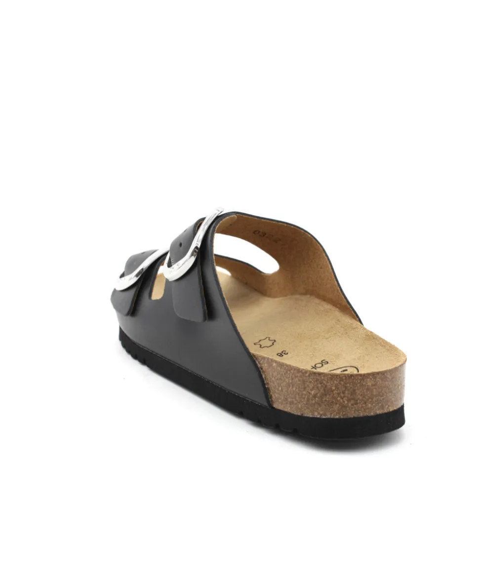 Scholl Noelle
