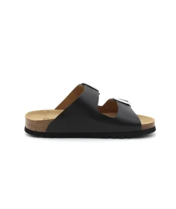 Scholl Noelle