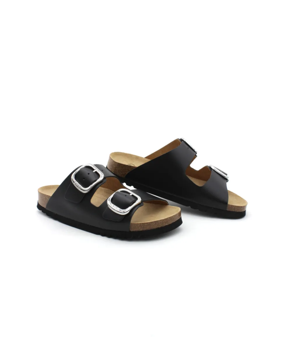 Scholl Noelle