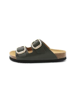 Scholl Noelle