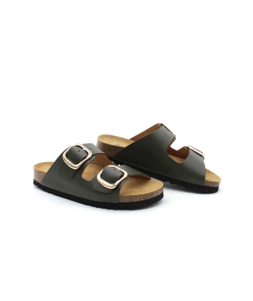 Scholl Noelle