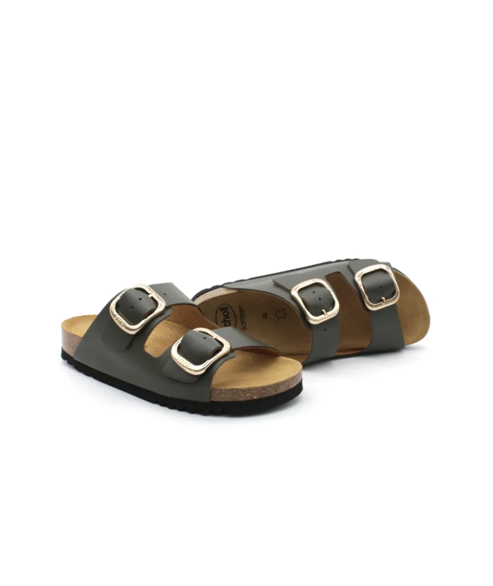 Scholl Noelle
