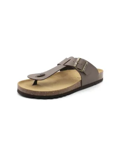 Scholl Yves