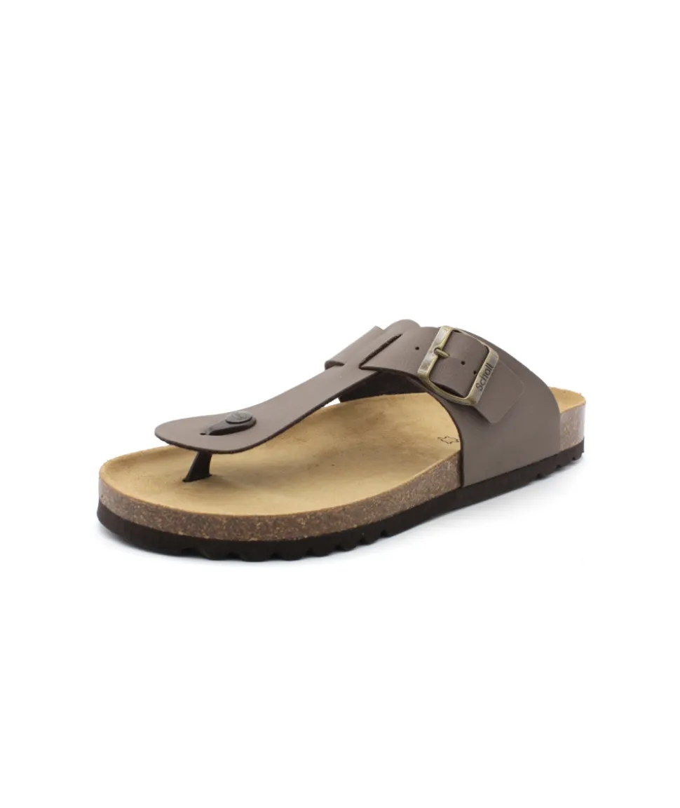 Scholl Yves