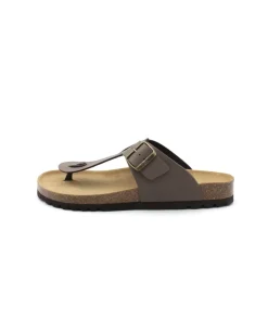 Scholl Yves
