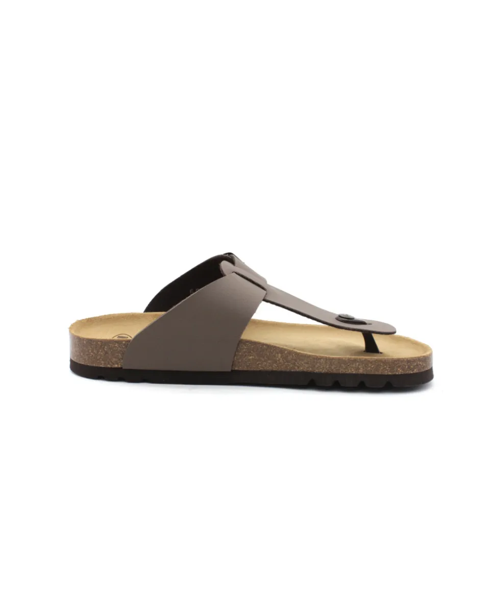Scholl Yves