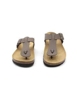 Scholl Yves