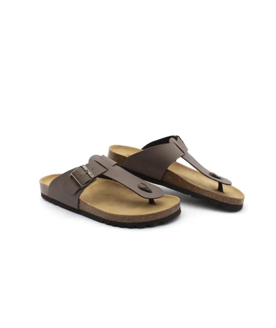Scholl Yves