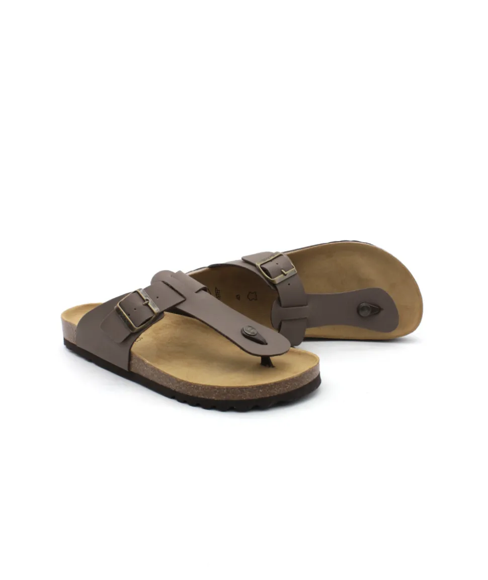 Scholl Yves