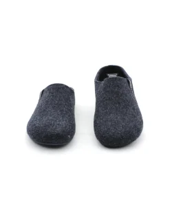 Verbenas York Fieltro Pet
