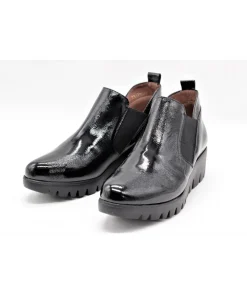 Wonders C33176