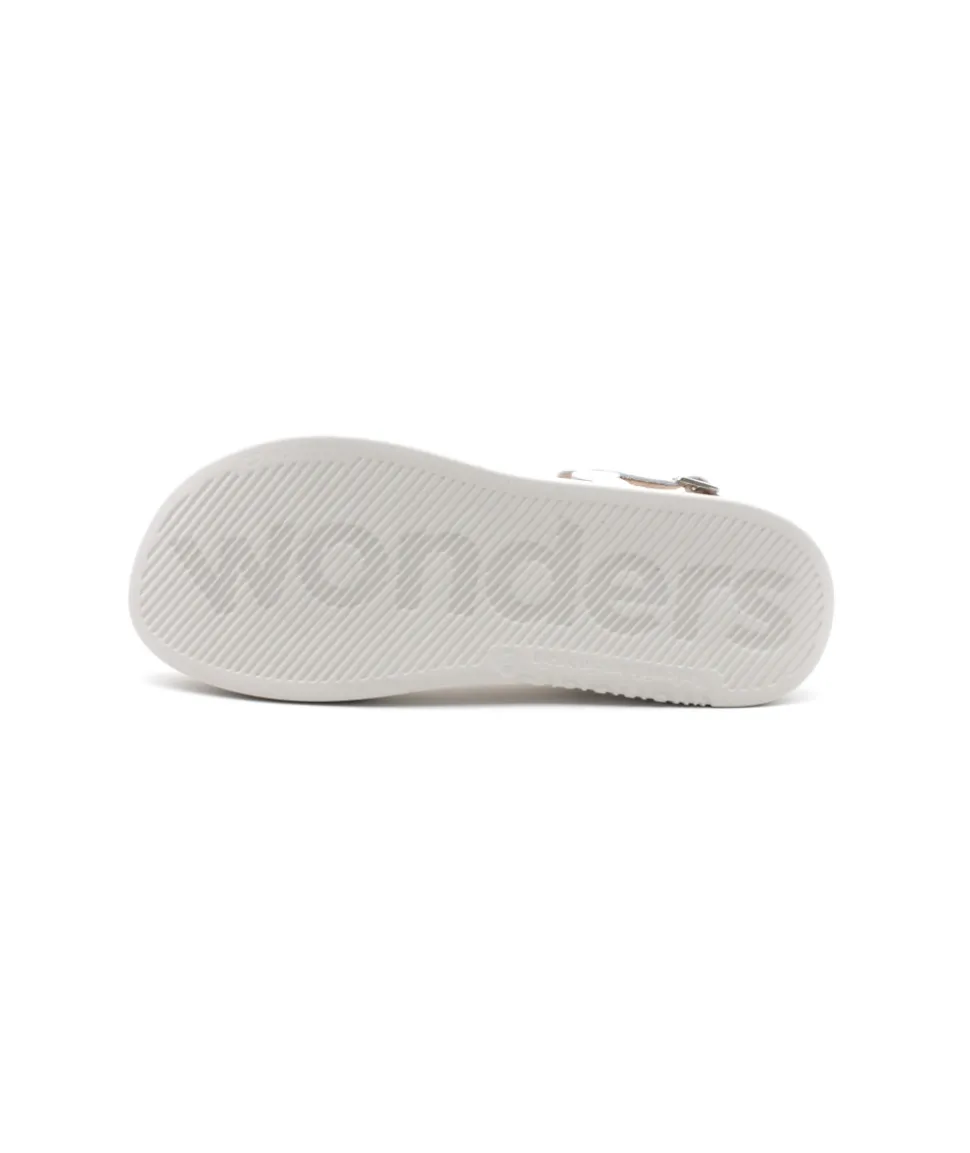 Wonders C6531