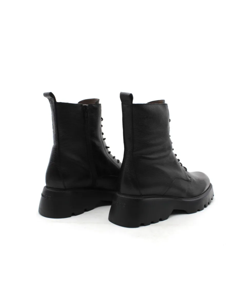 Wonders C7205